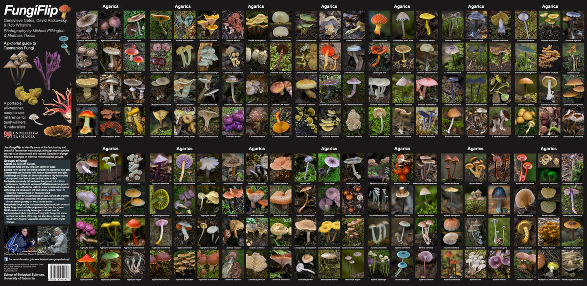 Buy A FungiFlip | A Field Guide to Tasmanian Fungi | Keep Tassie Wild