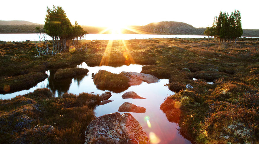 Tasmania's Central Plateau: The Land of a Thousand Lakes