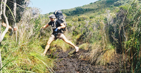SOUTH COAST TRACK