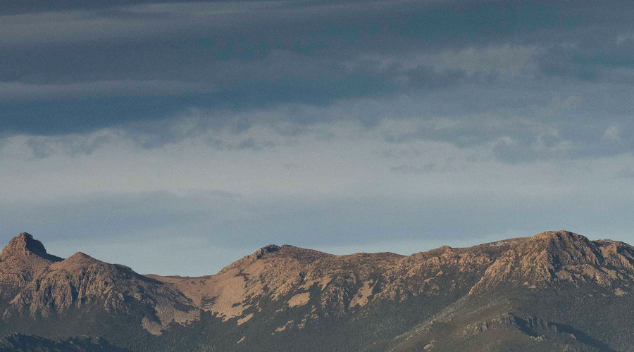 Film - The West Wind