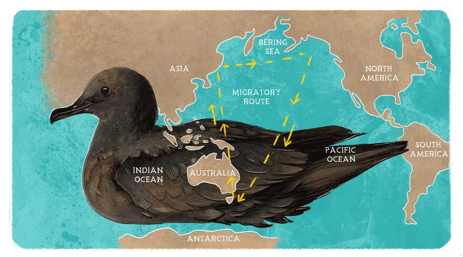 Tasmania – a global refuge, a global destination