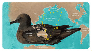 Tasmania – a global refuge, a global destination