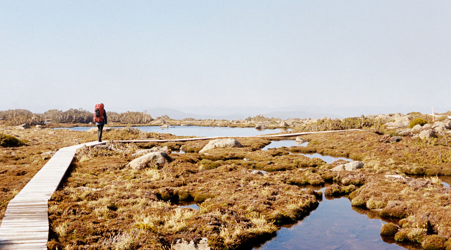 Track Notes - Mount Field