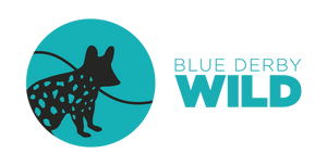 blue derby wild logo