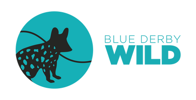 blue derby wild logo