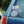 Weedy Seadragon Sticker
