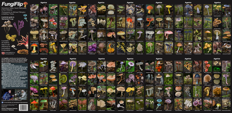 Buy A FungiFlip | A Field Guide to Tasmanian Fungi | Keep Tassie Wild