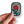 Little Waratah Patch