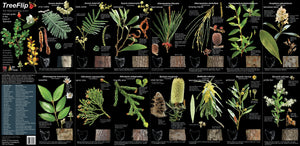 TreeFlip: Life-Sized Guide to the Trees of Tasmania